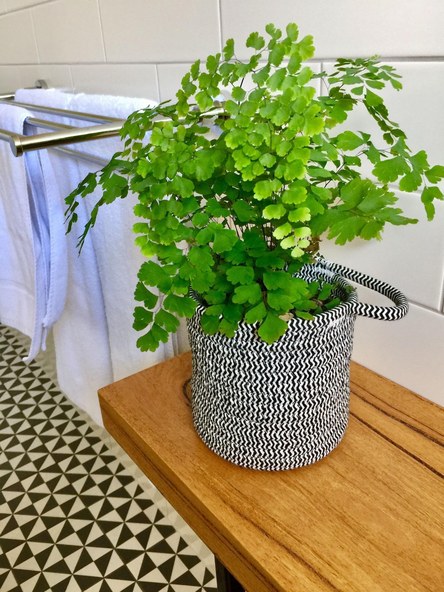 Sunny Side Up B&B Rye Εξωτερικό φωτογραφία